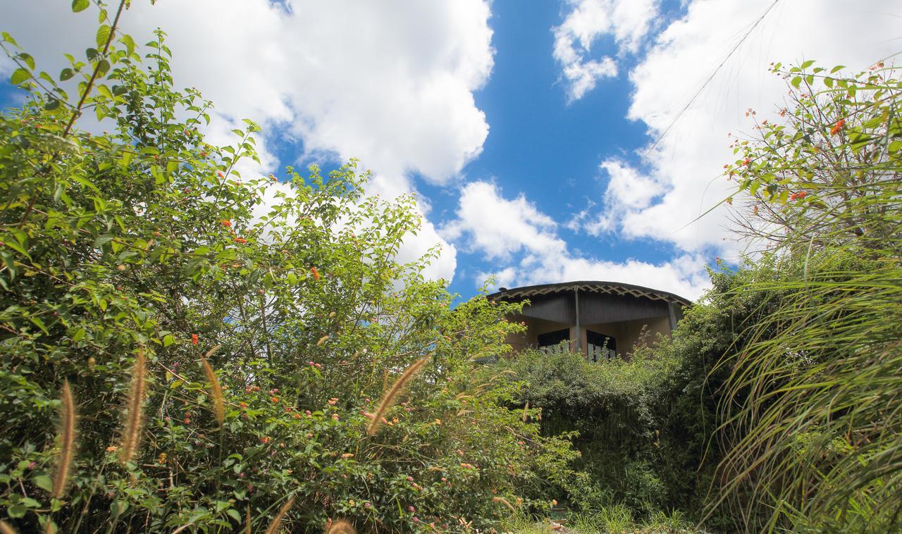 Villa Verde エッラ エクステリア 写真